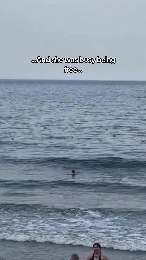 @Dragonfly Counselling & Reiki