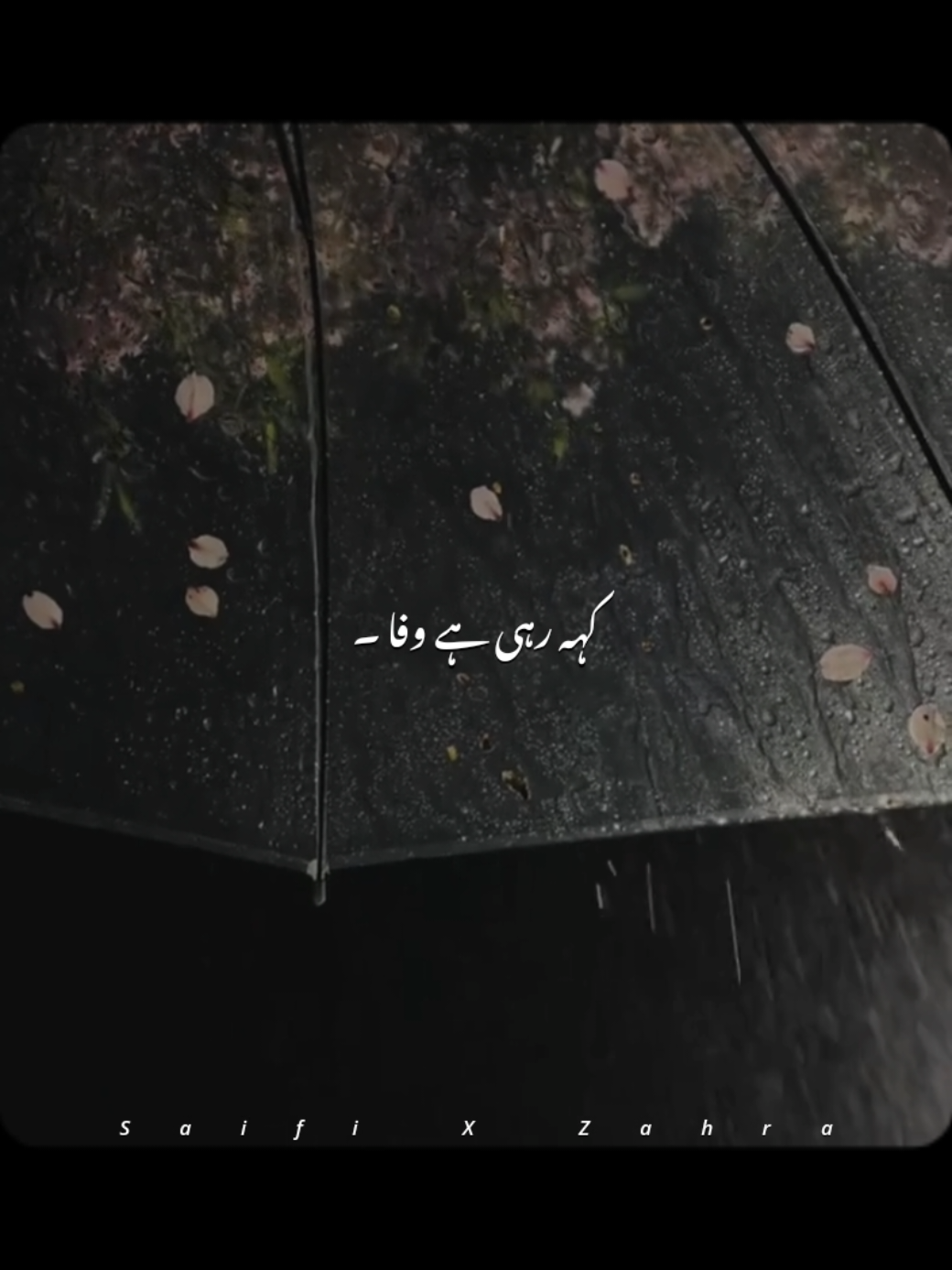 @𝙎𝙖𝙞𝙛𝙞 𝙭 𝘼𝙚𝙨𝙩𝙞𝙘🎧