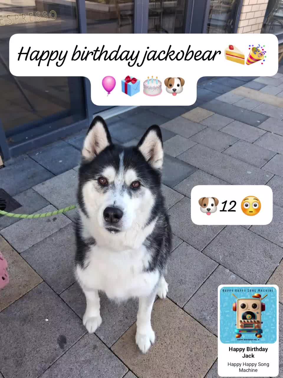 @jackobear