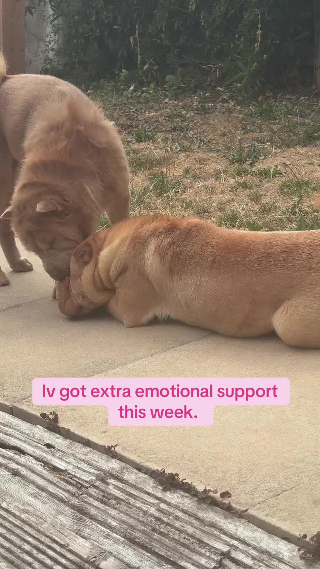 @EmmaG - DV SUPPORT 💜