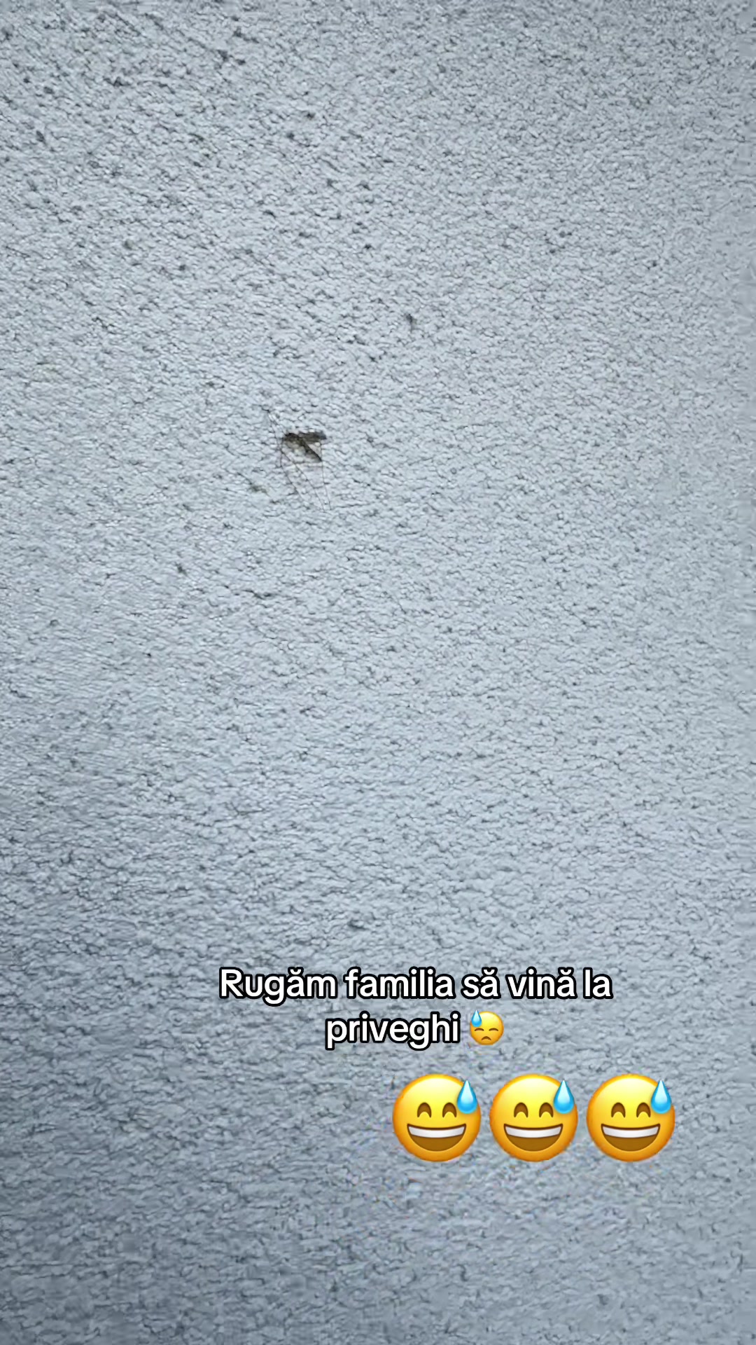 @Huțuleac Felicia