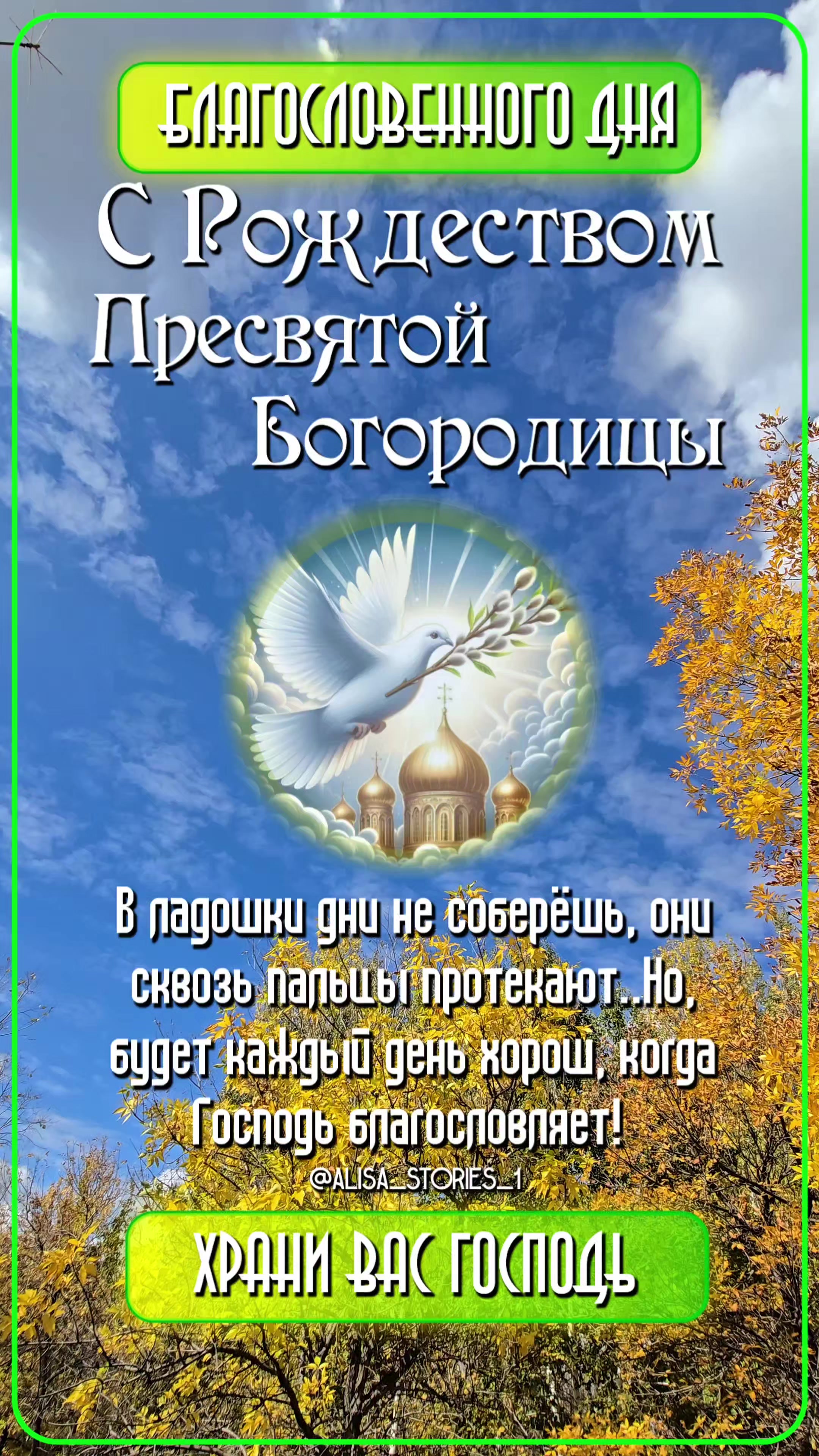 @ТГК:alisa_stories_1