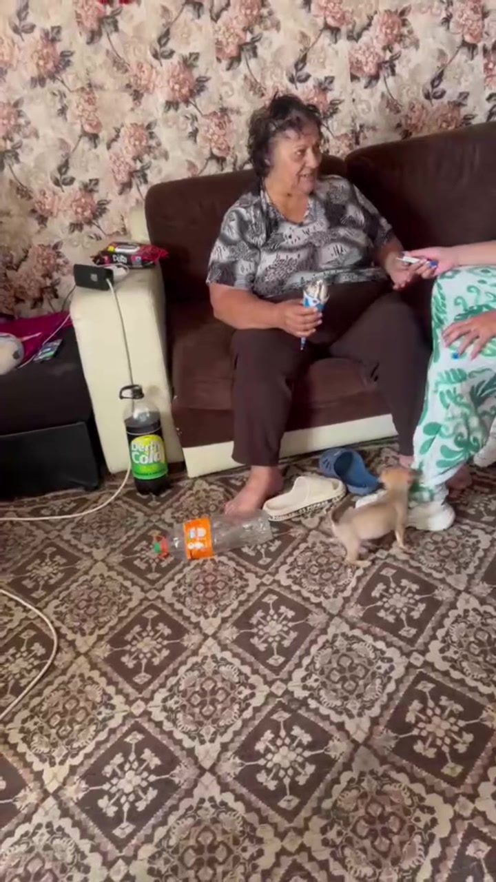 @hristowa_08
