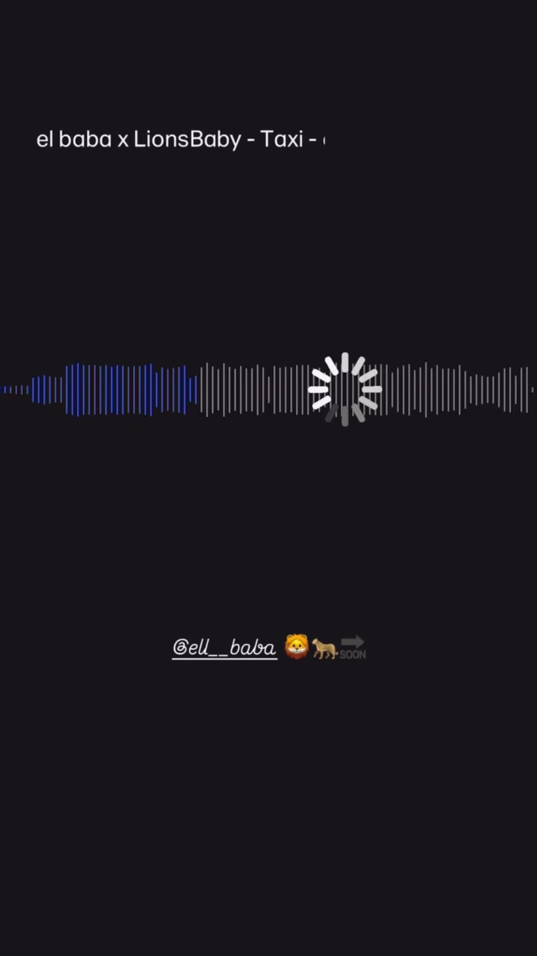 @lionsbabyy