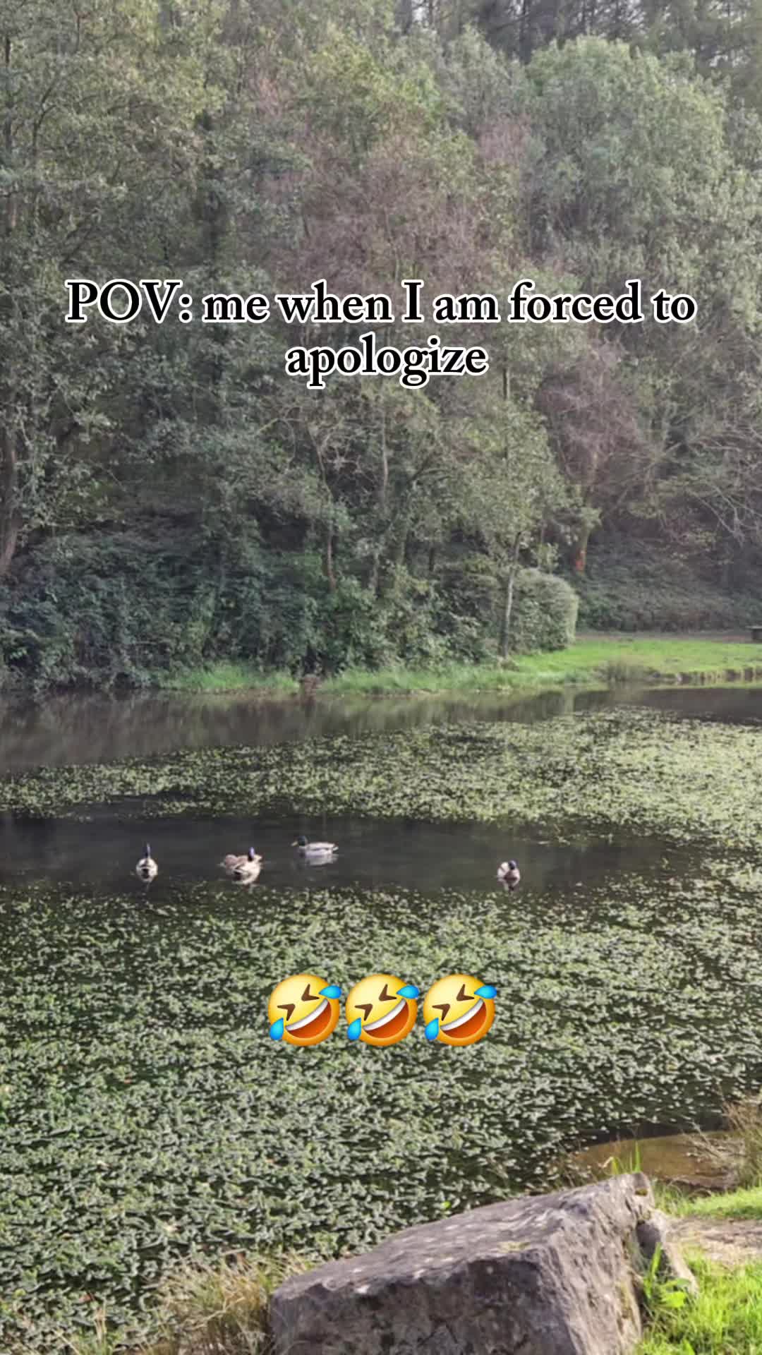 @🤎🤍 ɓóɓɓý 🤍🤎