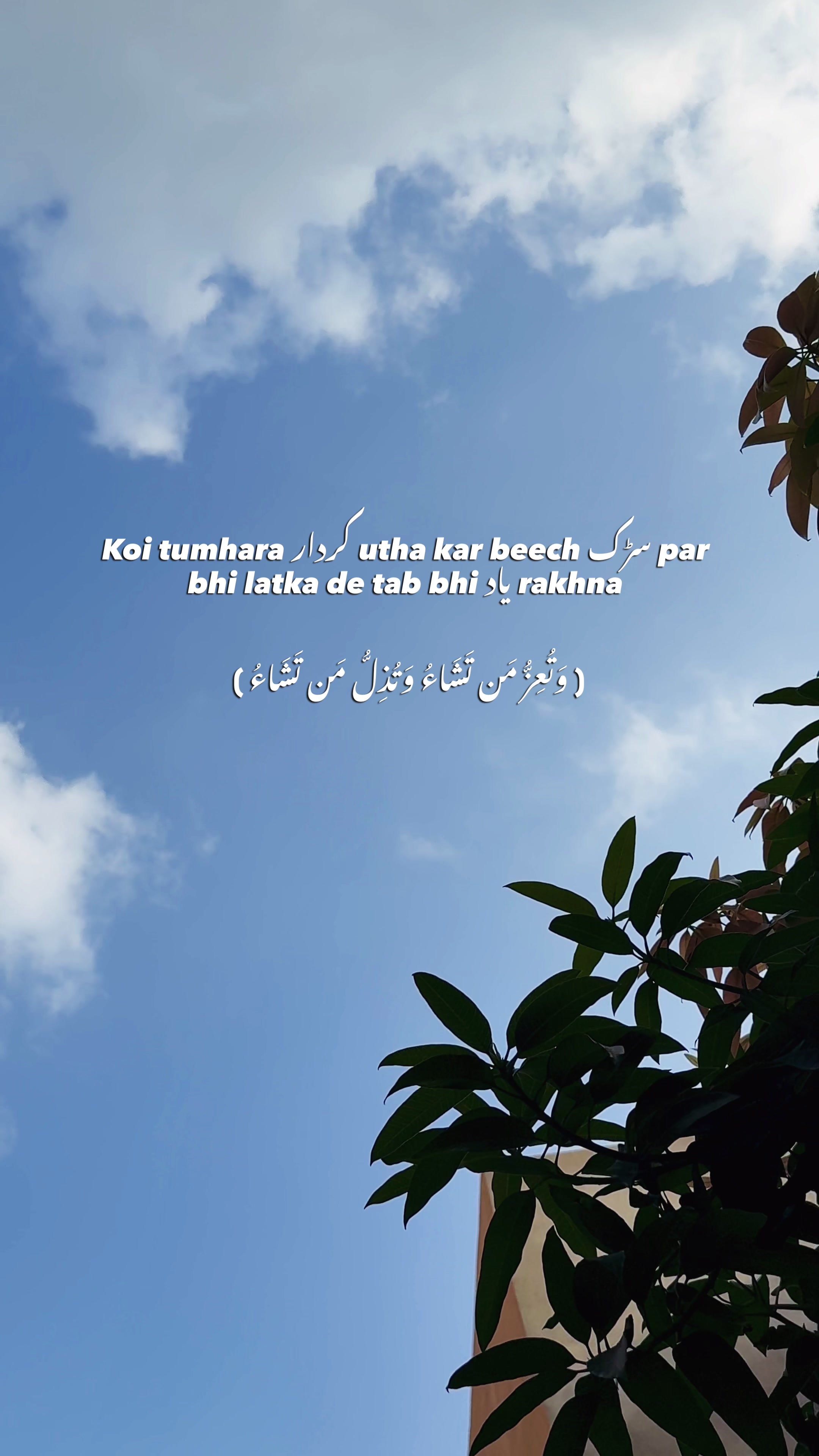 @𝙎 𝘼 𝙍 𝘼 𝙃 🚩