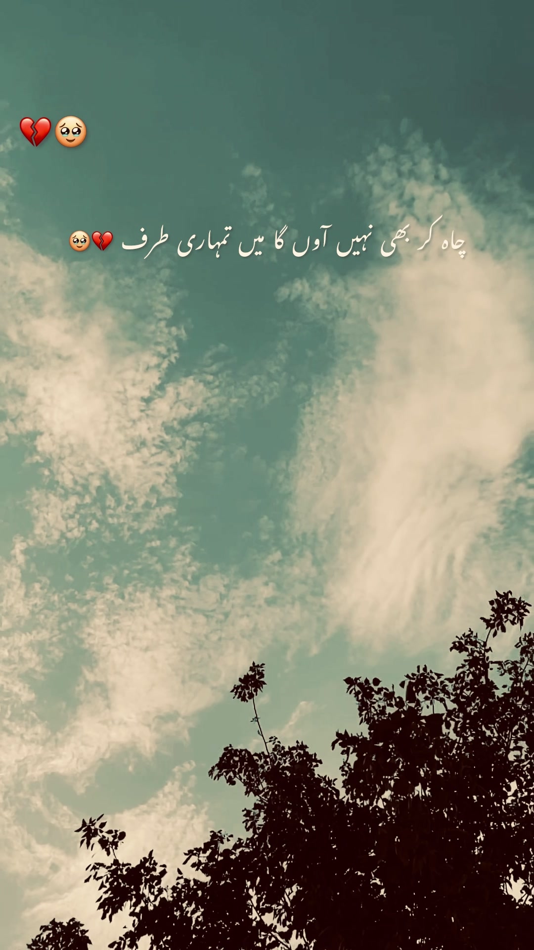 @ch.usمan.471🍁
