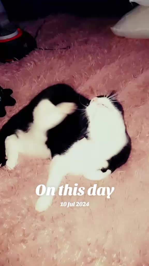 @๐ฆ April'Monique ๐ฆ