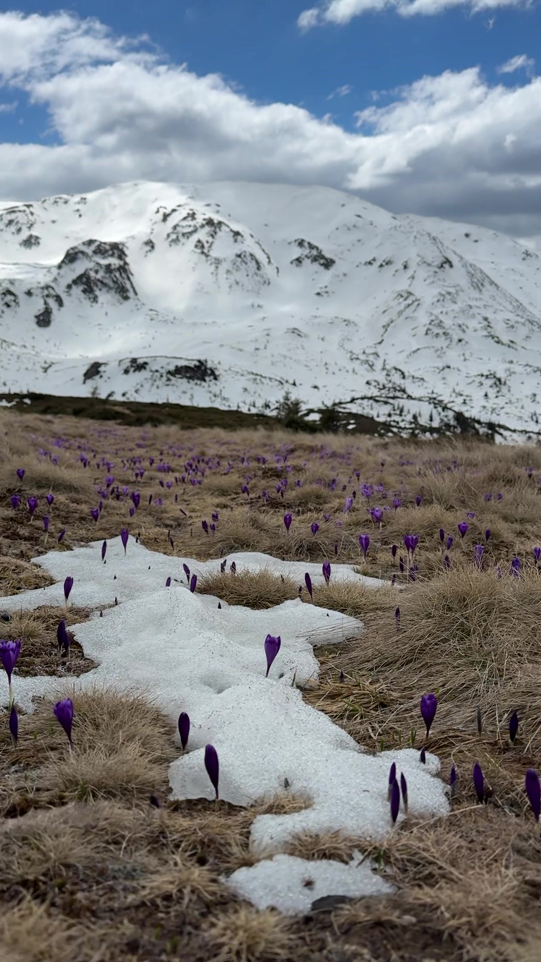 @Sorina