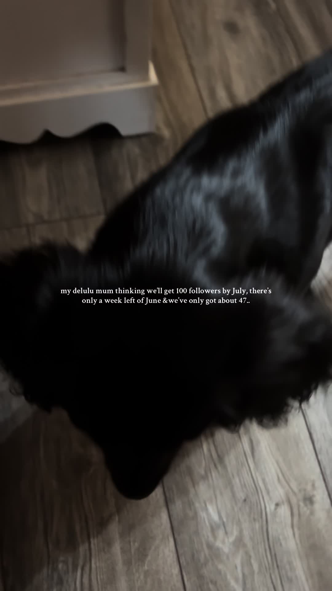 @aspanielslife