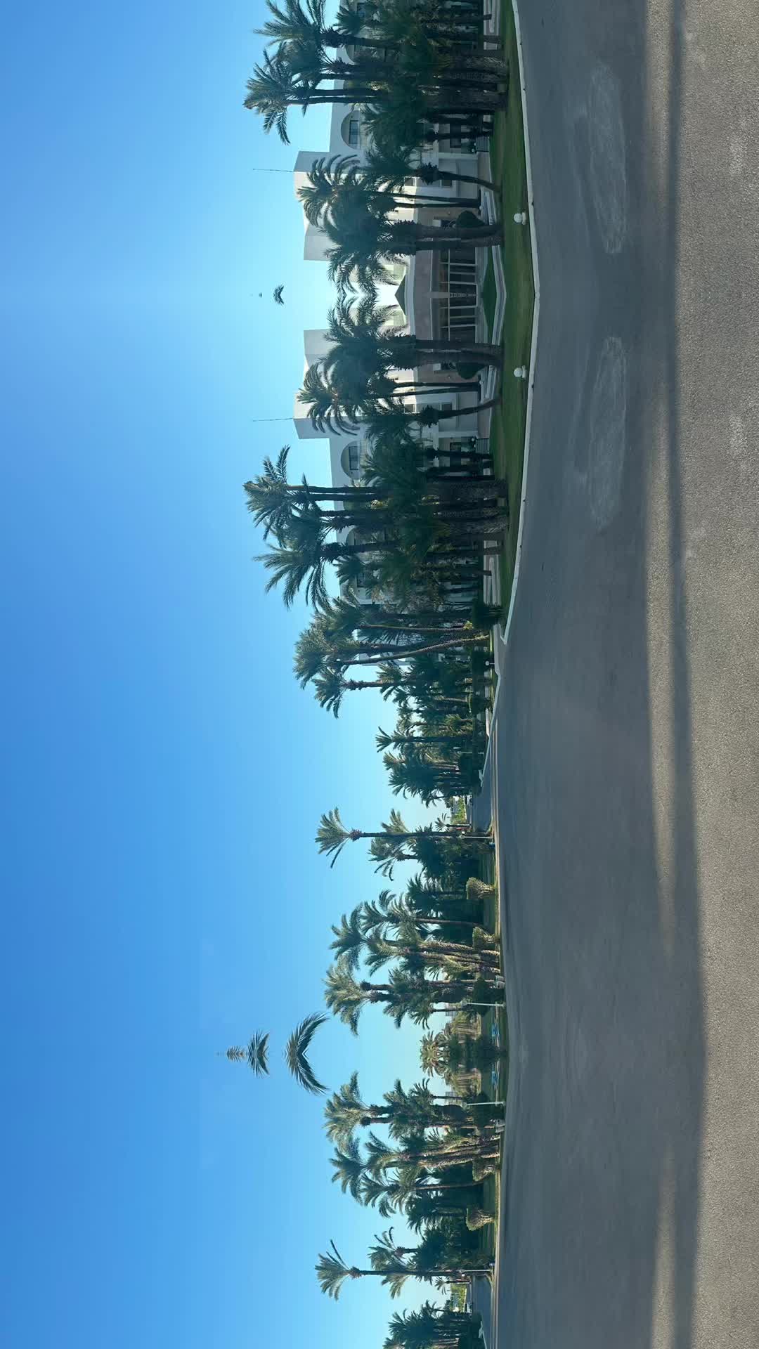 @Juju✨🌺