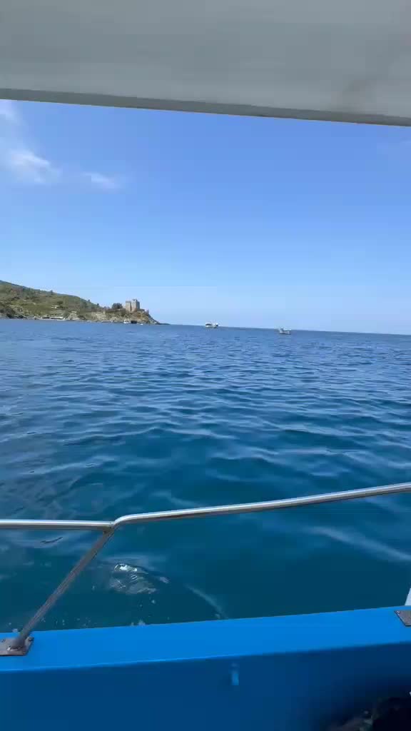 @SCALEA CALABRIA STRILL