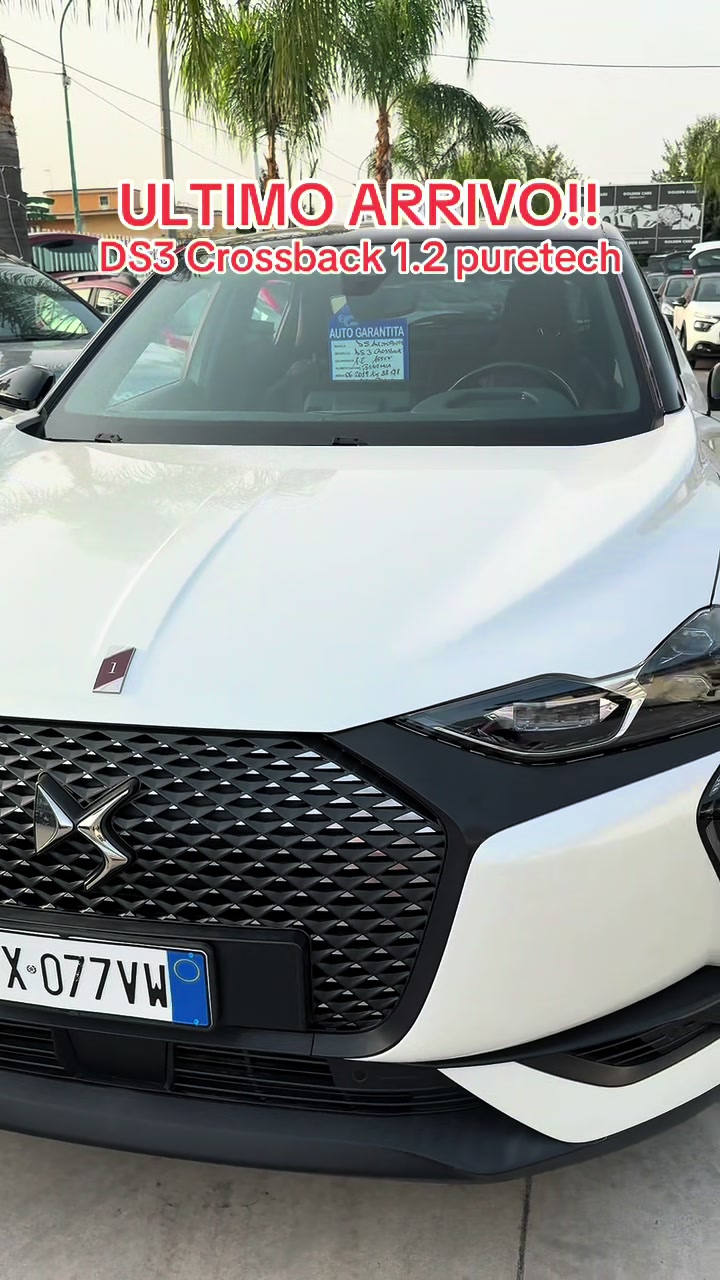 @Golden Cars Luxury