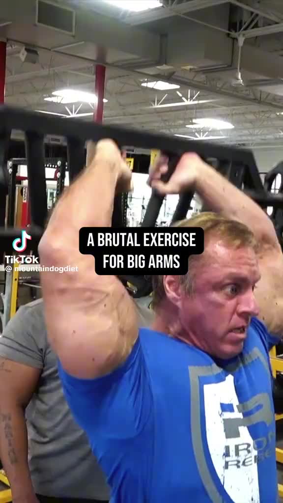 @Gymbodz