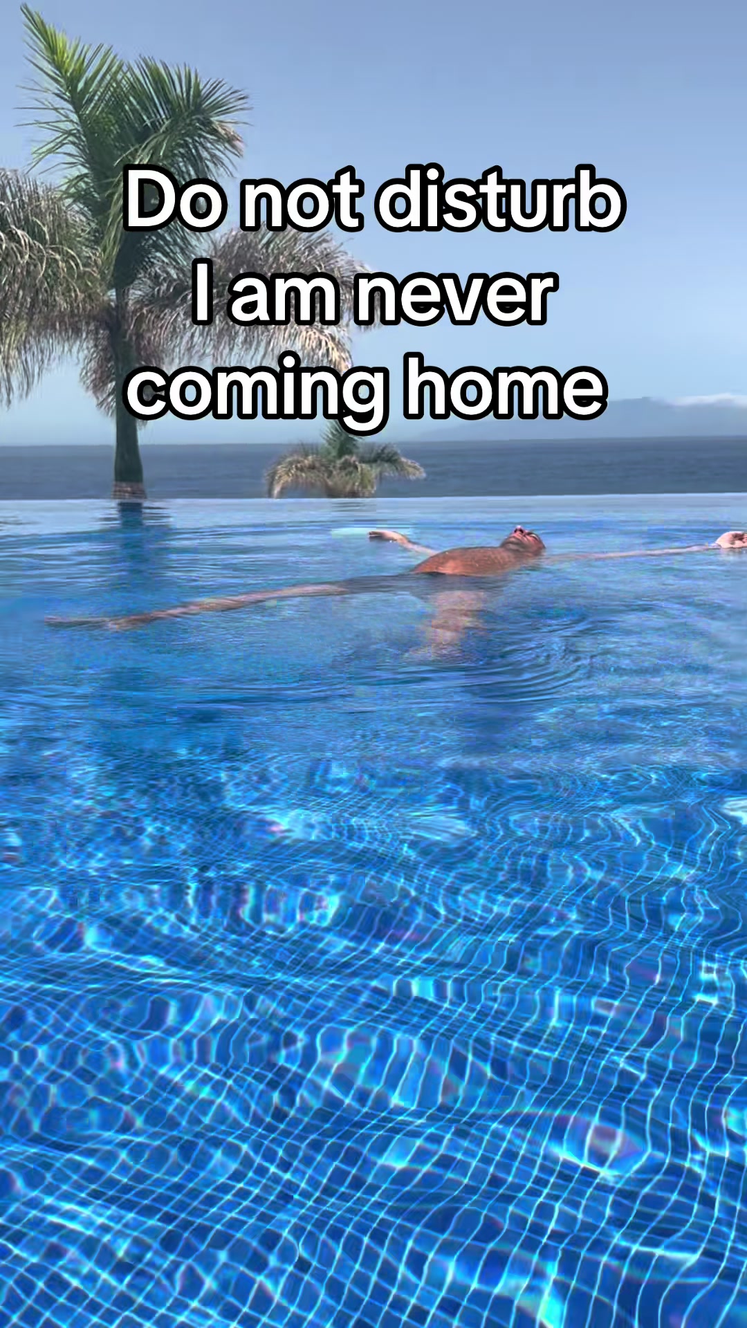 @Johnny Seifert