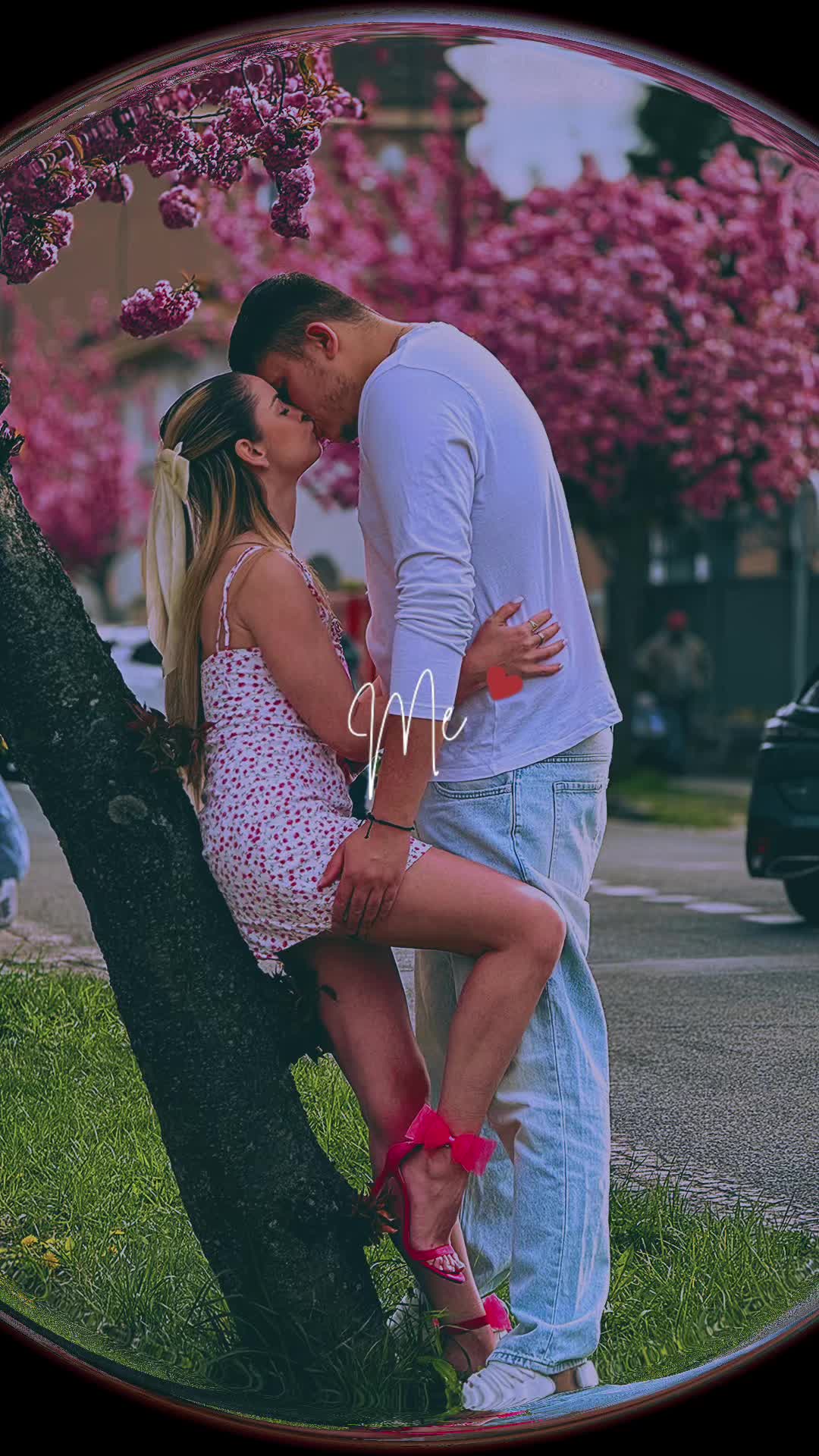 @𝓜𝓲𝓽𝓻𝓸
