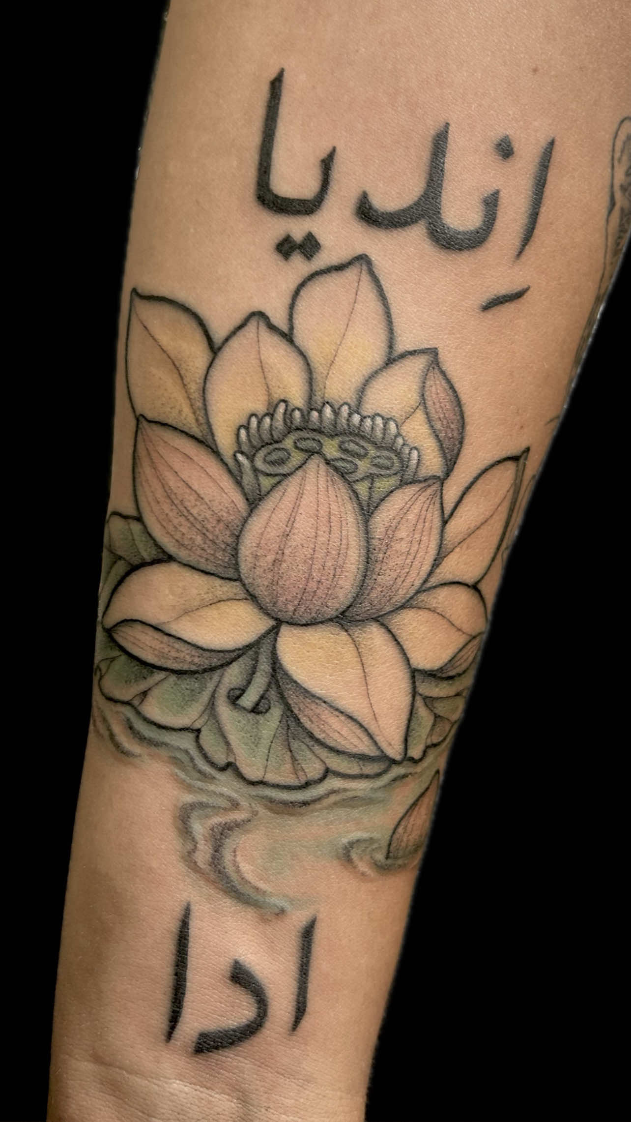 @Andyn Tattoo & Arts