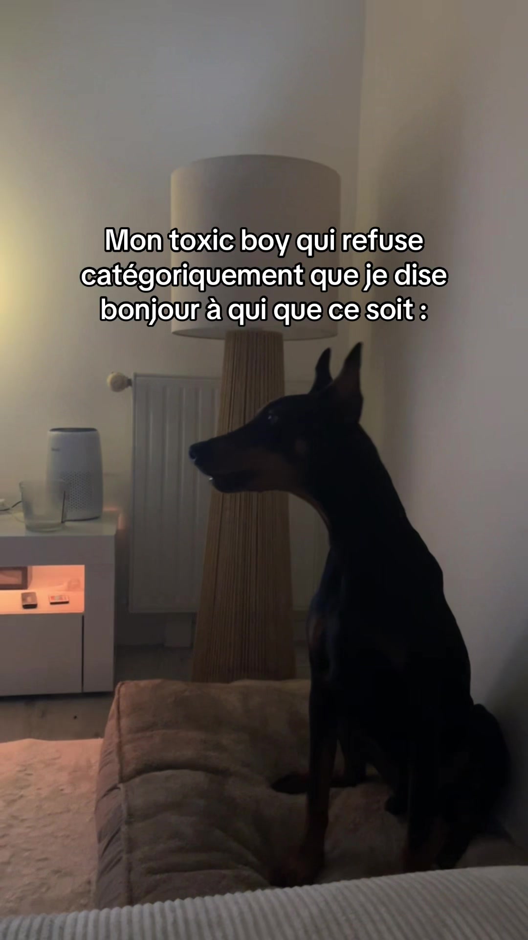 @Ar&egrave;s 🐶