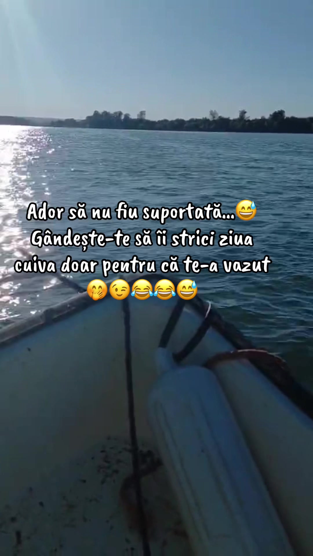 @Balaceanu Larisa