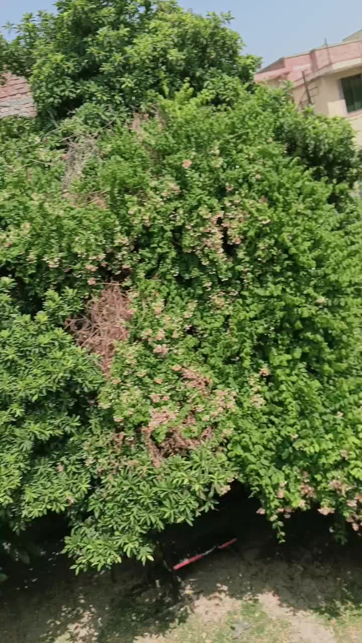 @MR-JAGI_222
