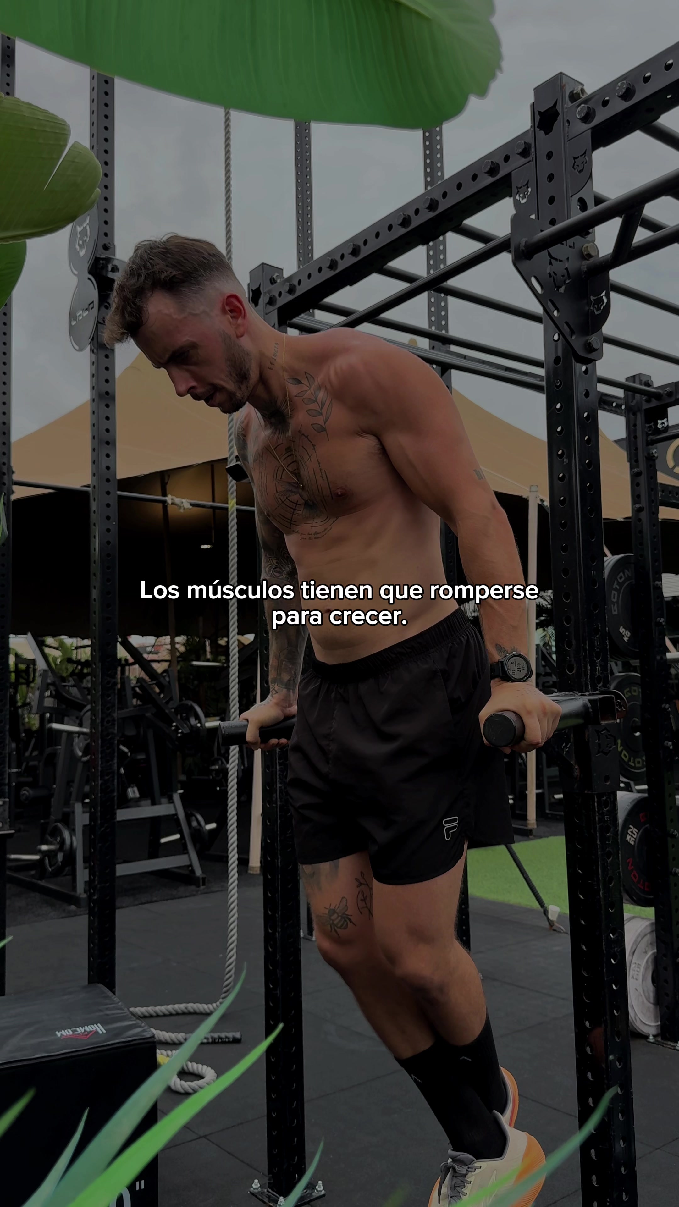 @Carlos Cuenca lopez