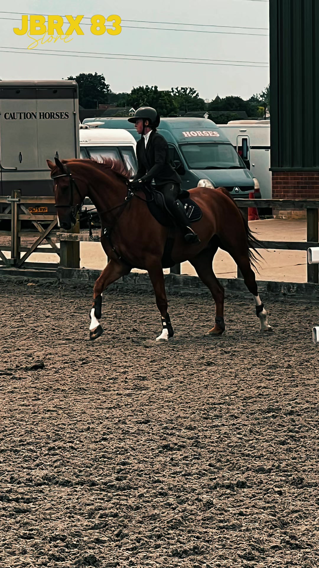 @Ronnie moore's showjumping