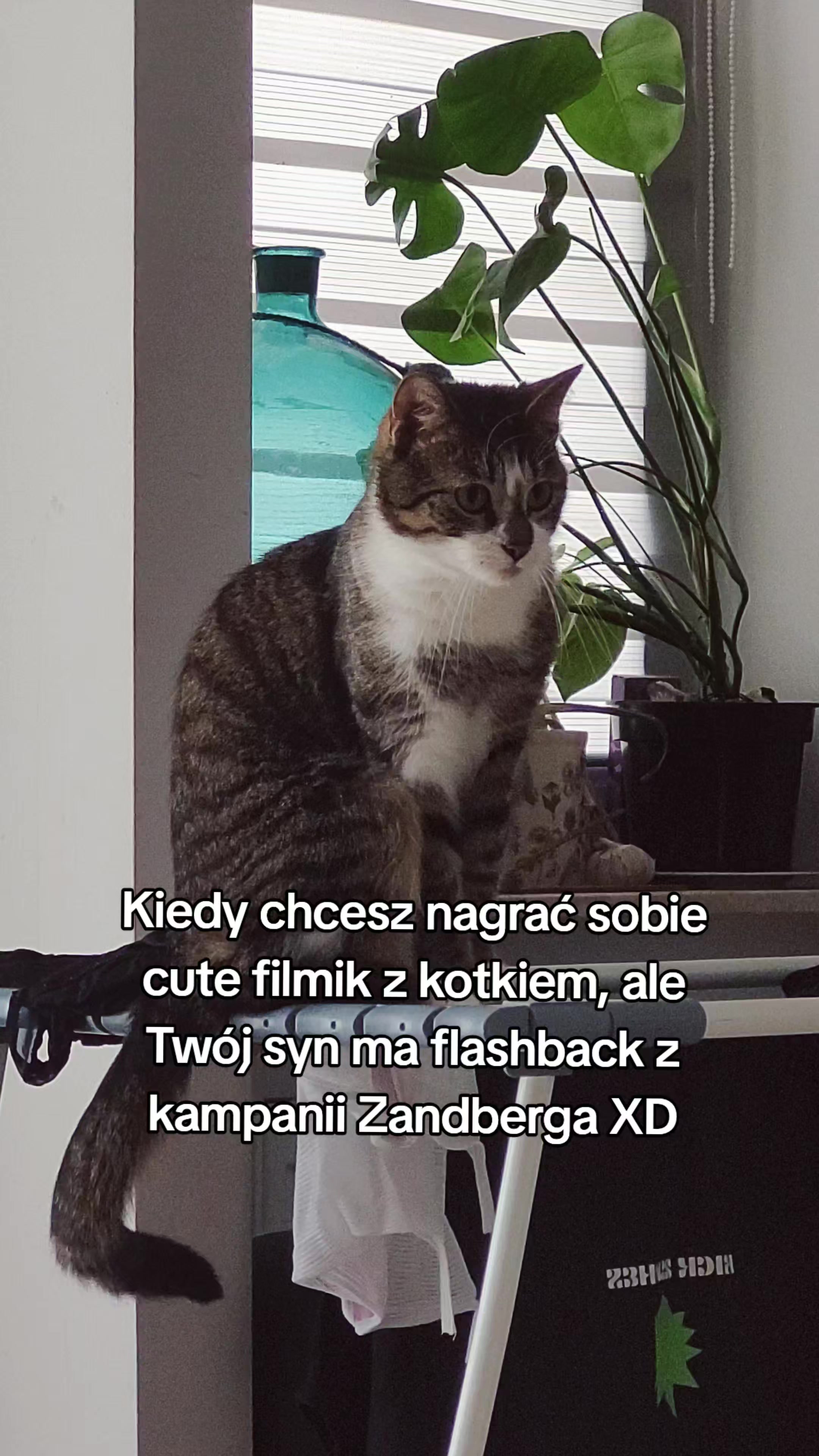 @PoisonedCandy