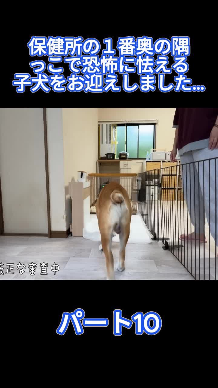 @ブルドッグぶるまるチャンネル Fan