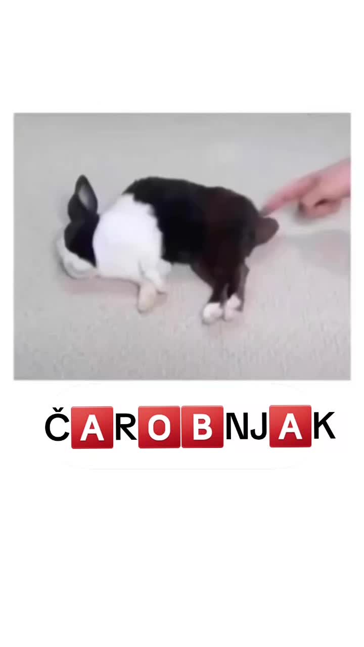 @Č🅰️R🅾️🅱️NJ🅰️K💰🇧🇦🇩🇪💰
