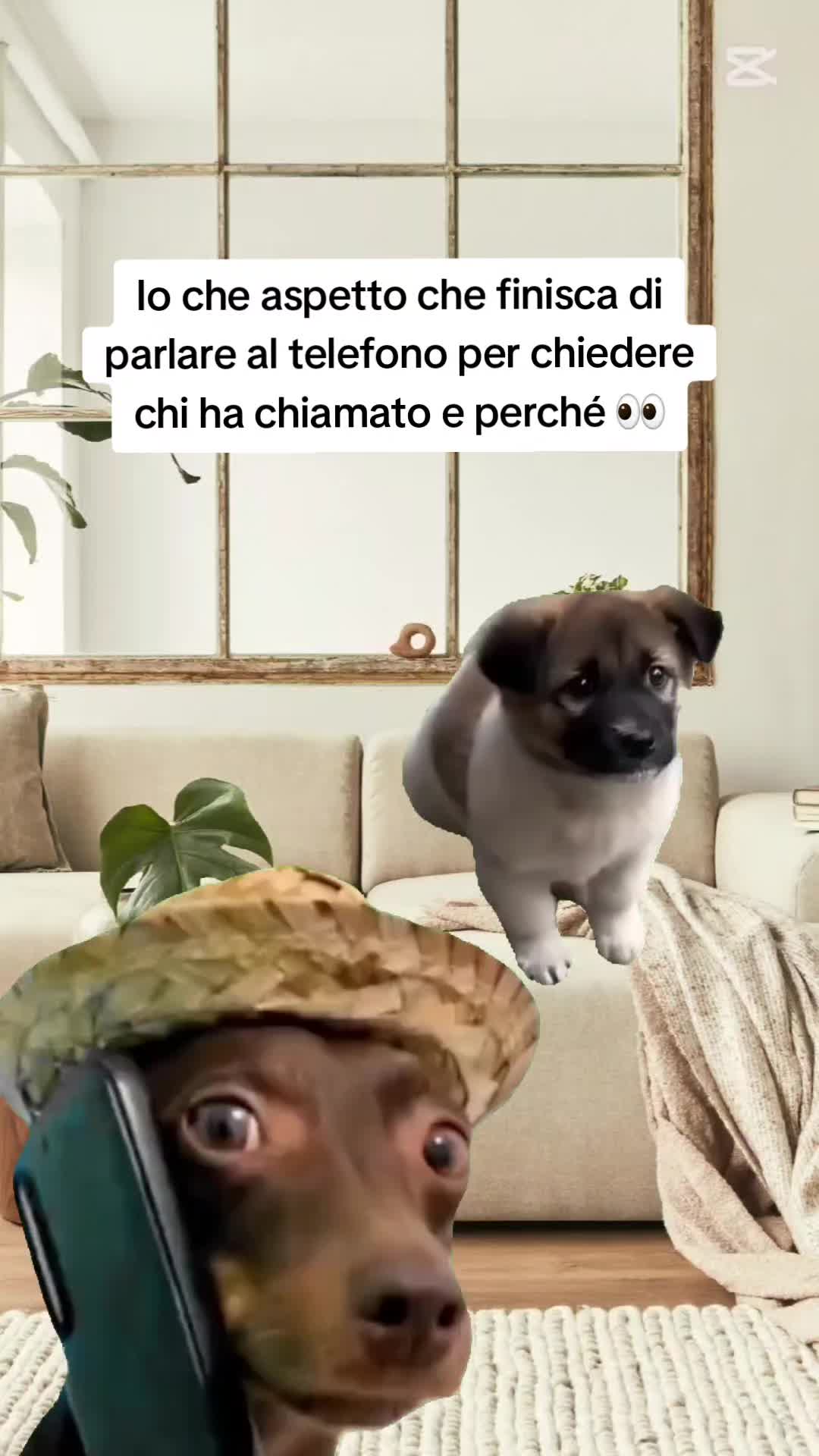 @Catzatte
