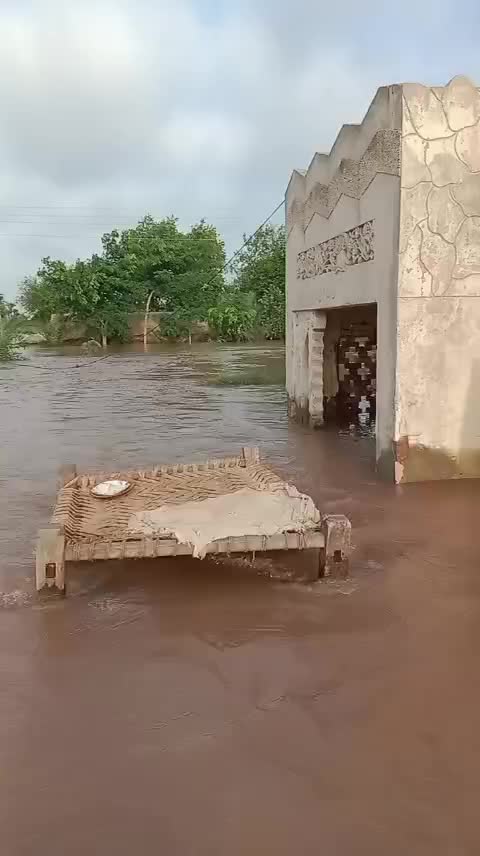 @Kausar Bukhari