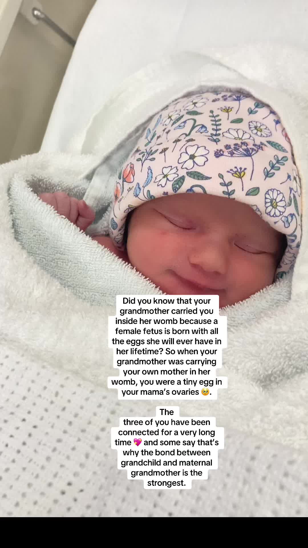@honestmum