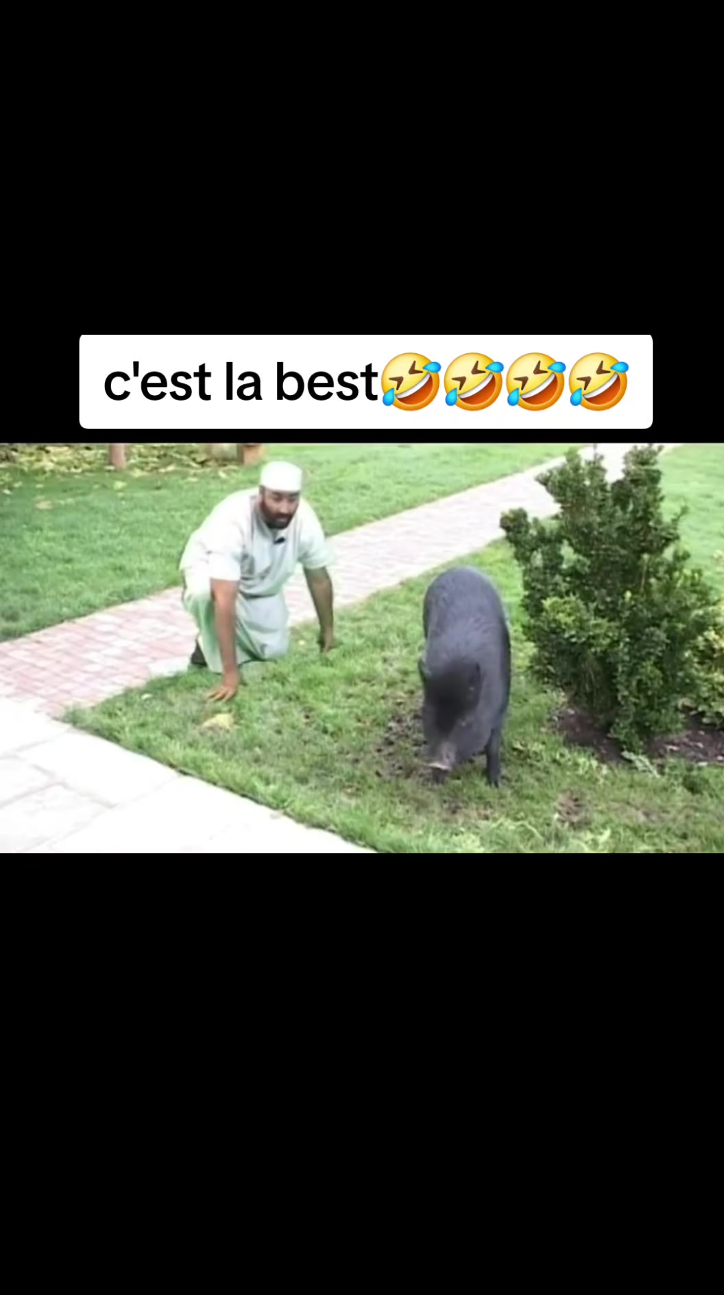 @lucio78