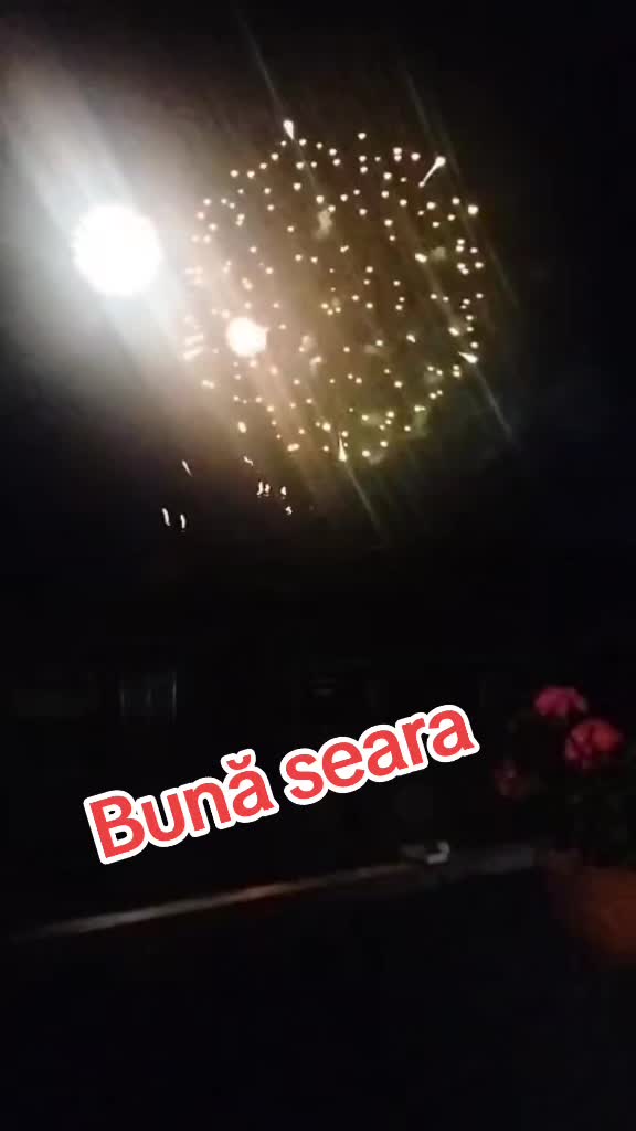 @Aurel  Anghelus_22