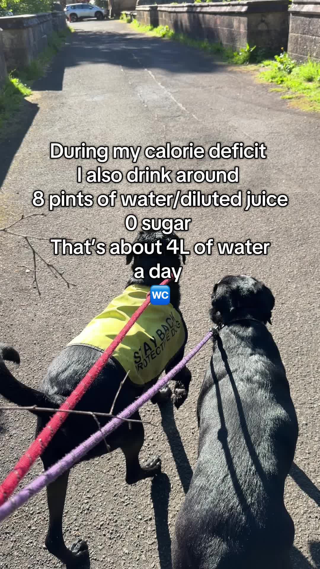 @Penny 🧡 Luna