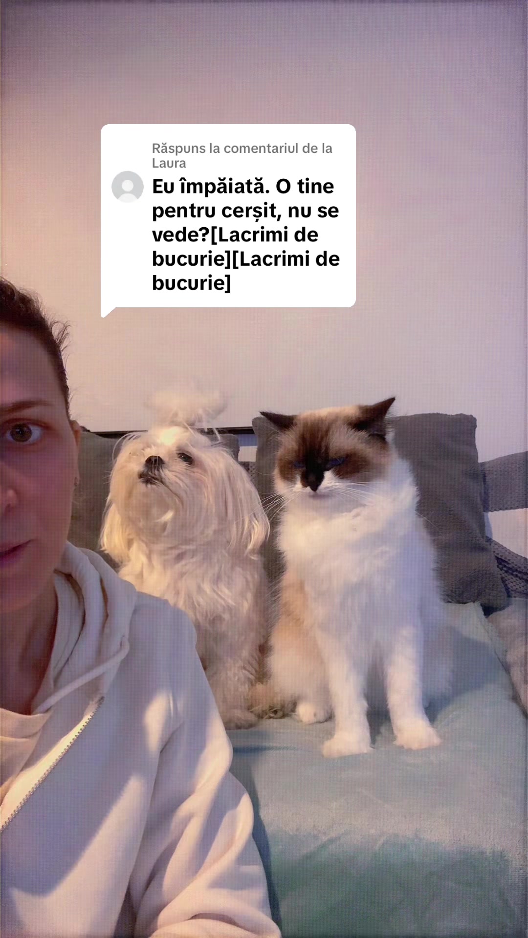 @Cosmina