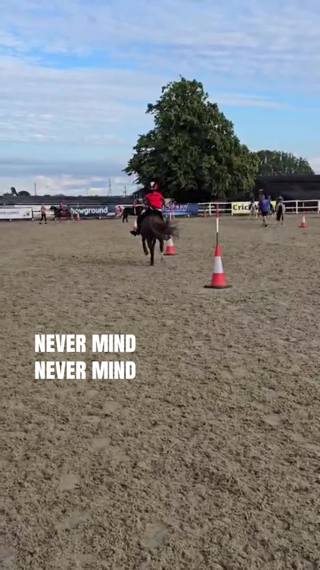 @shelbyshorseaccount