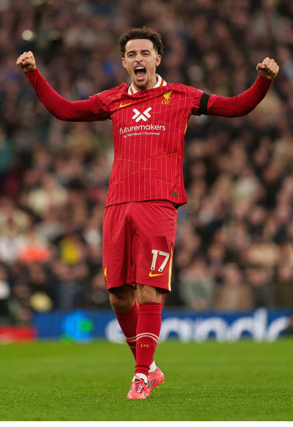 @lfc_comps