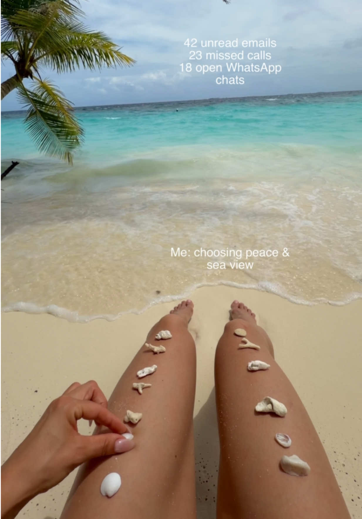 @beutrx