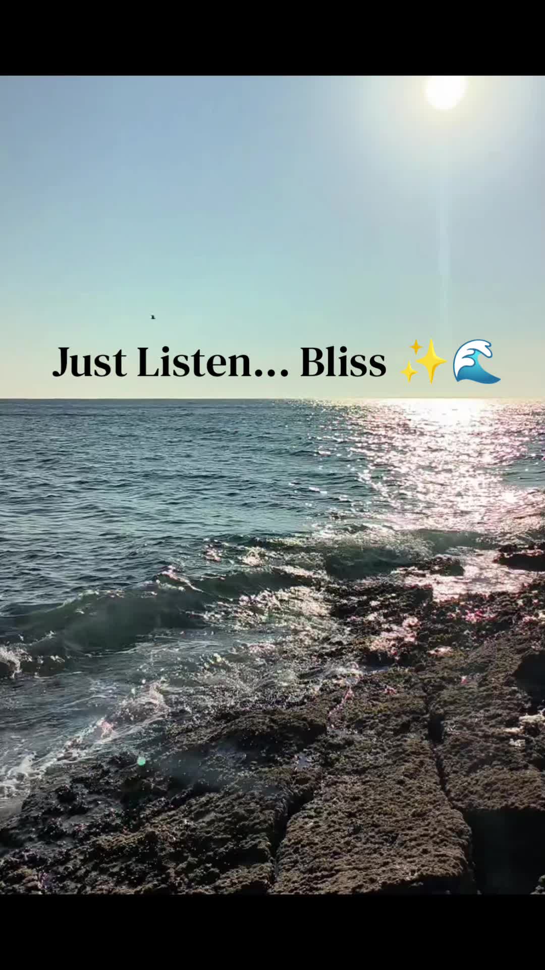 @LittleOneWanders