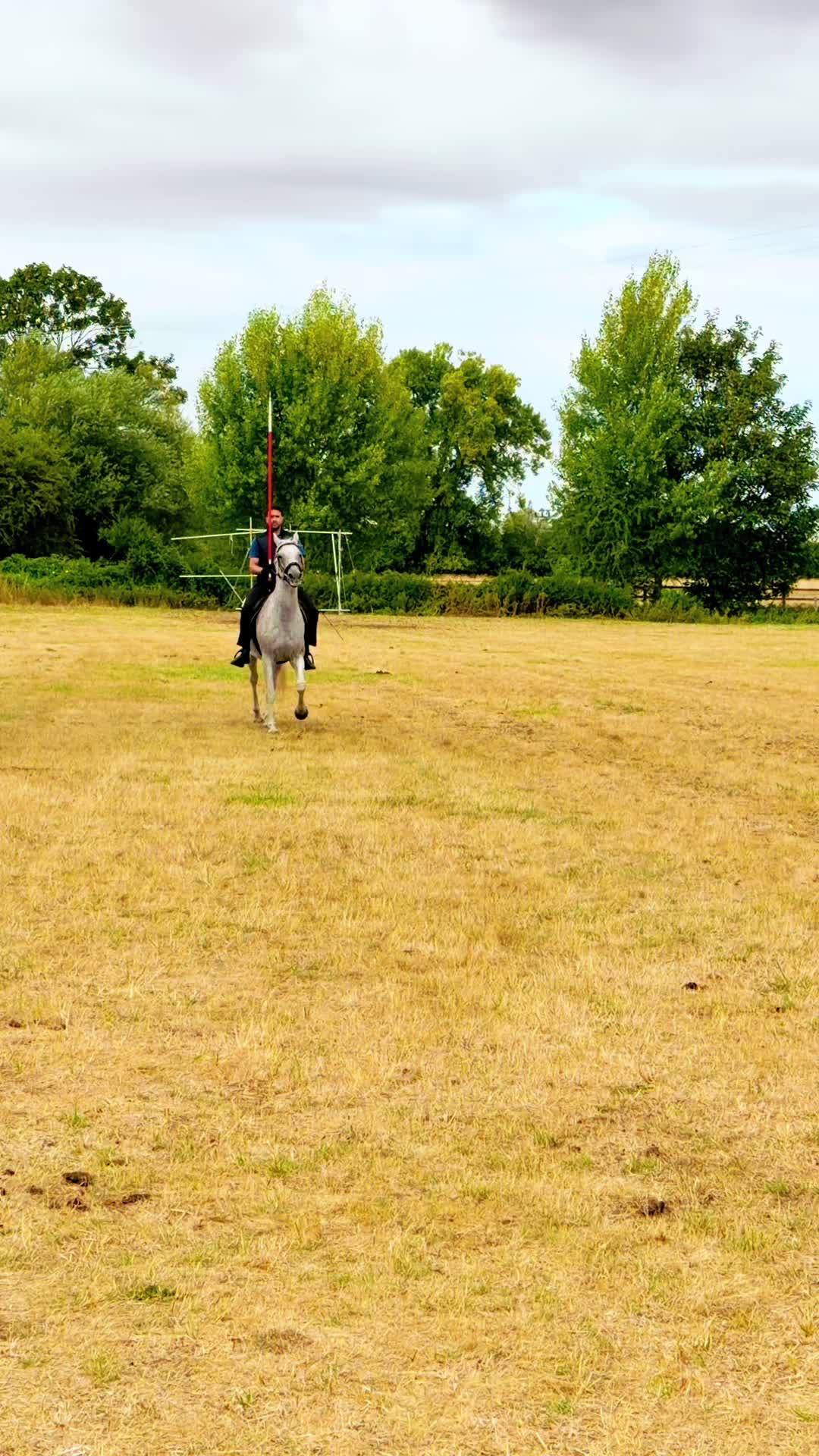 @Slough horses