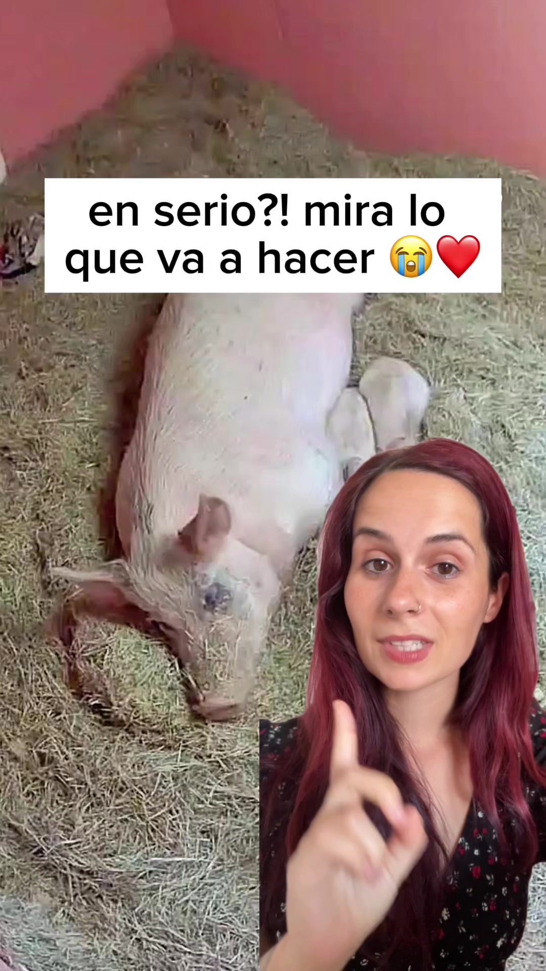 @Mireia | MAMI VEGANA ✨