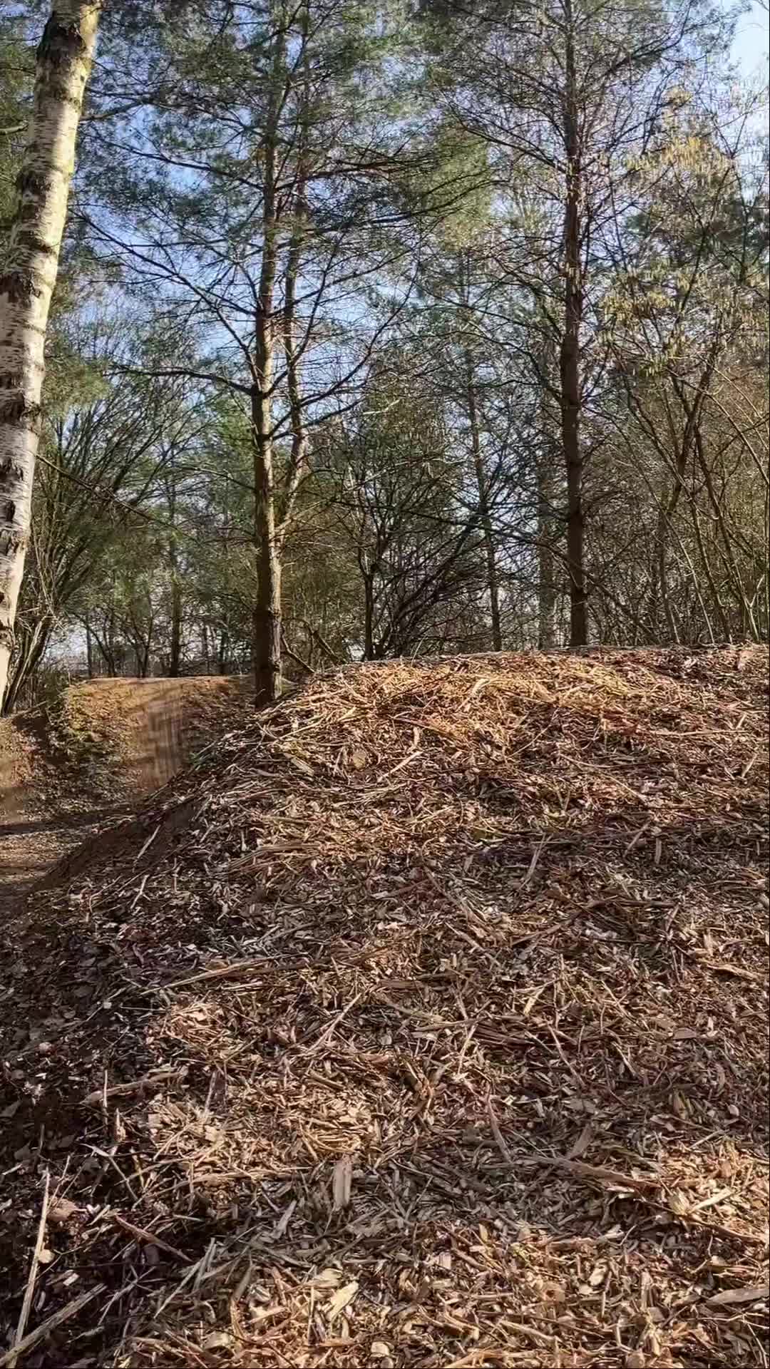 @Maxmartin.dirt