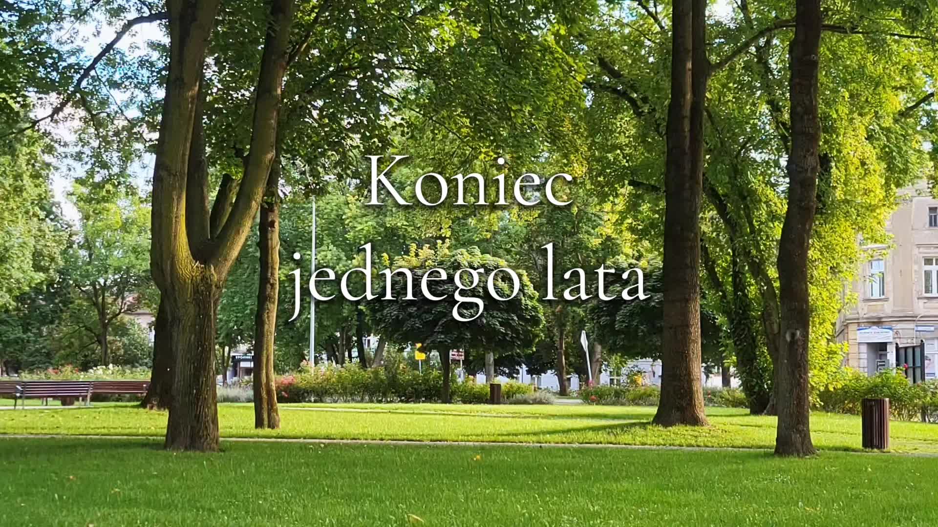 @vinrenverse
