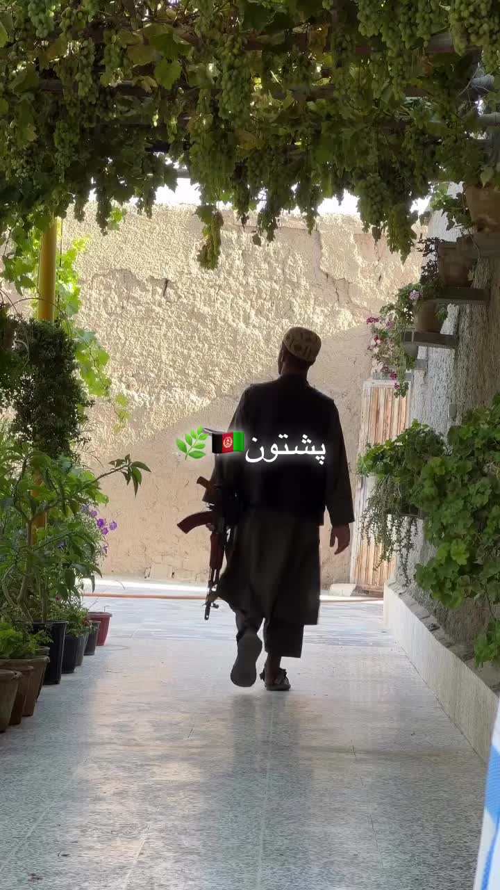 @پشتون پنجشیری🇦🇫⚡️