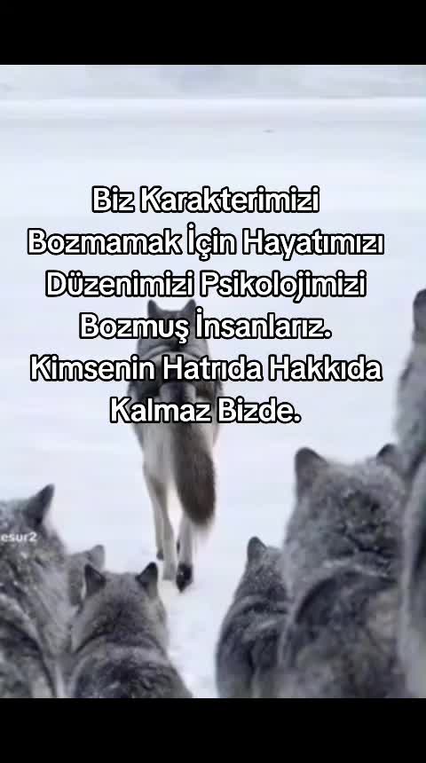 @Hidayet 20