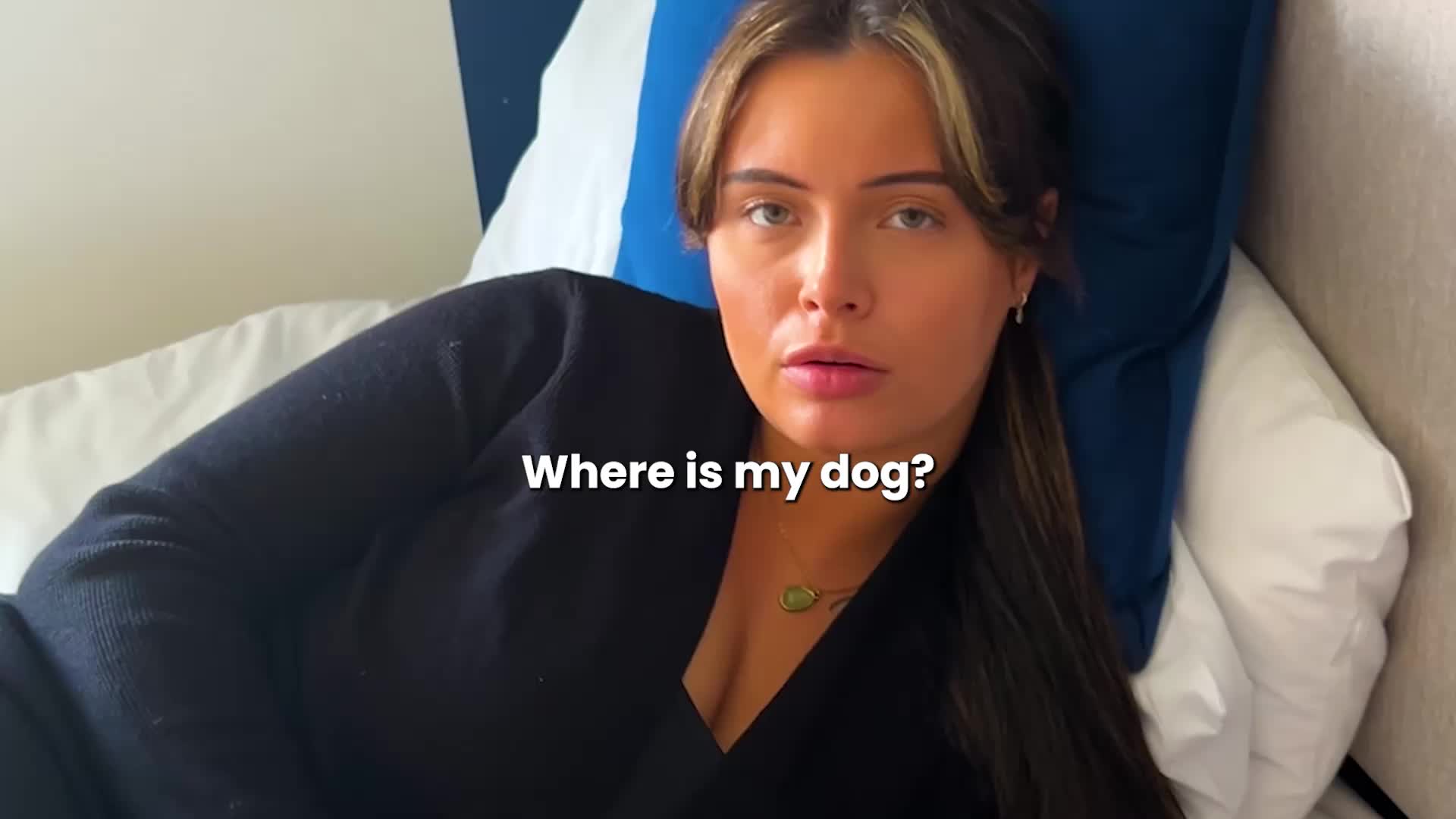 @Go Fetch