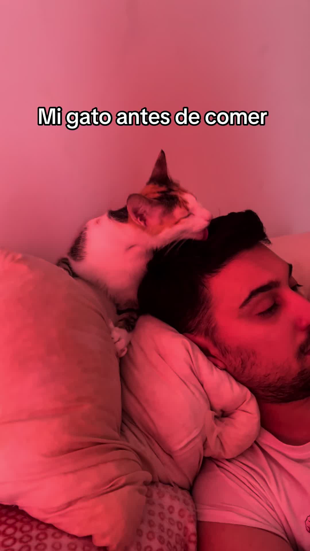 @- Alejandra 🐱💕