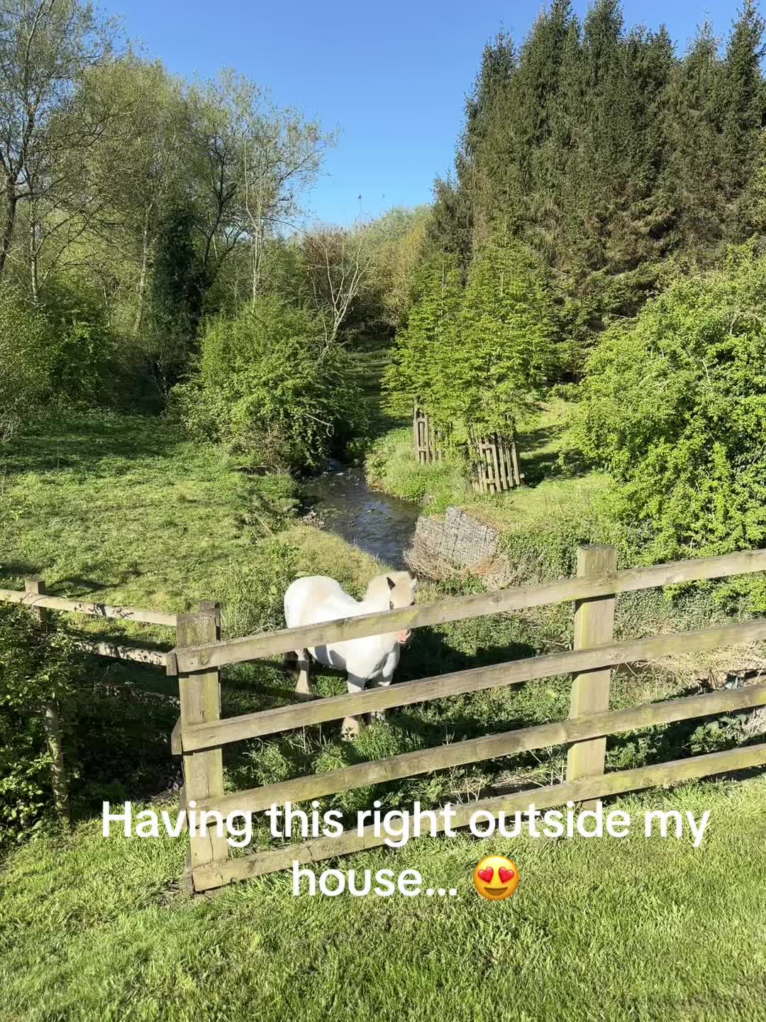 @jennylloyd_