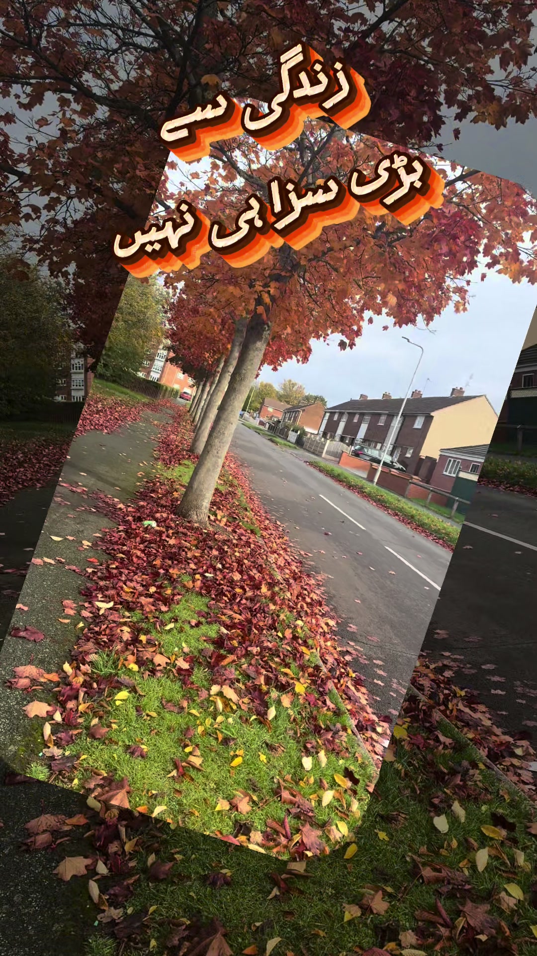 @Urdu trends